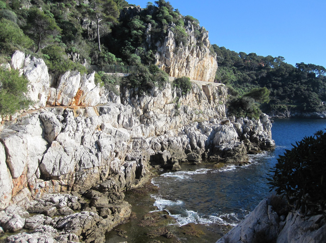 Paloma Beach景点图片