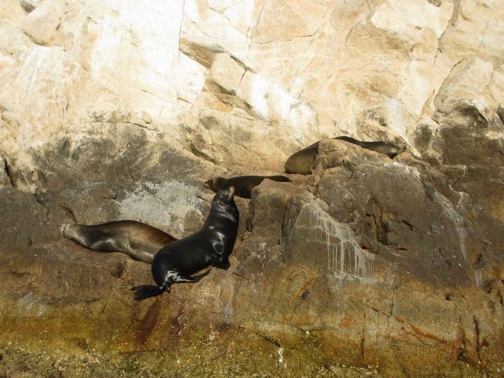 Cabo Expeditions-卡波圣卢卡斯必去景点