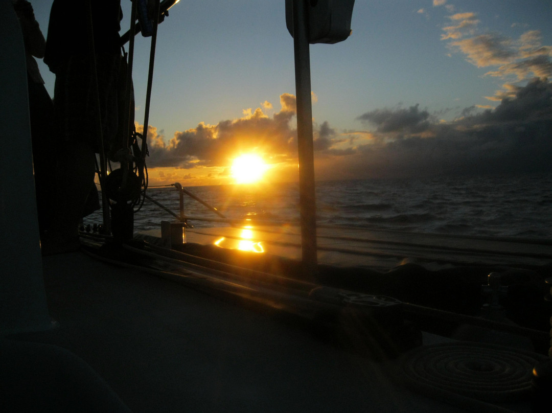 Alii Nui Sailing Charters-玛阿拉也亚必去景点