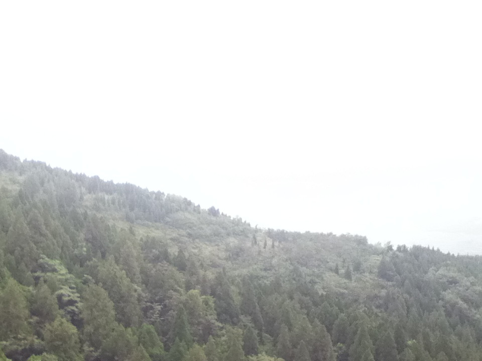 抱犊崮森林公园-枣庄市必去景点