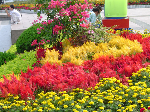 深圳彭年万丽酒店主图