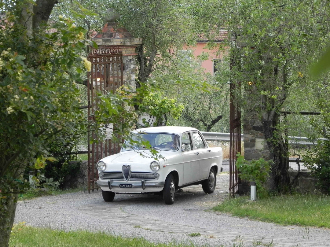 Il Giardino delle Esperidi主图