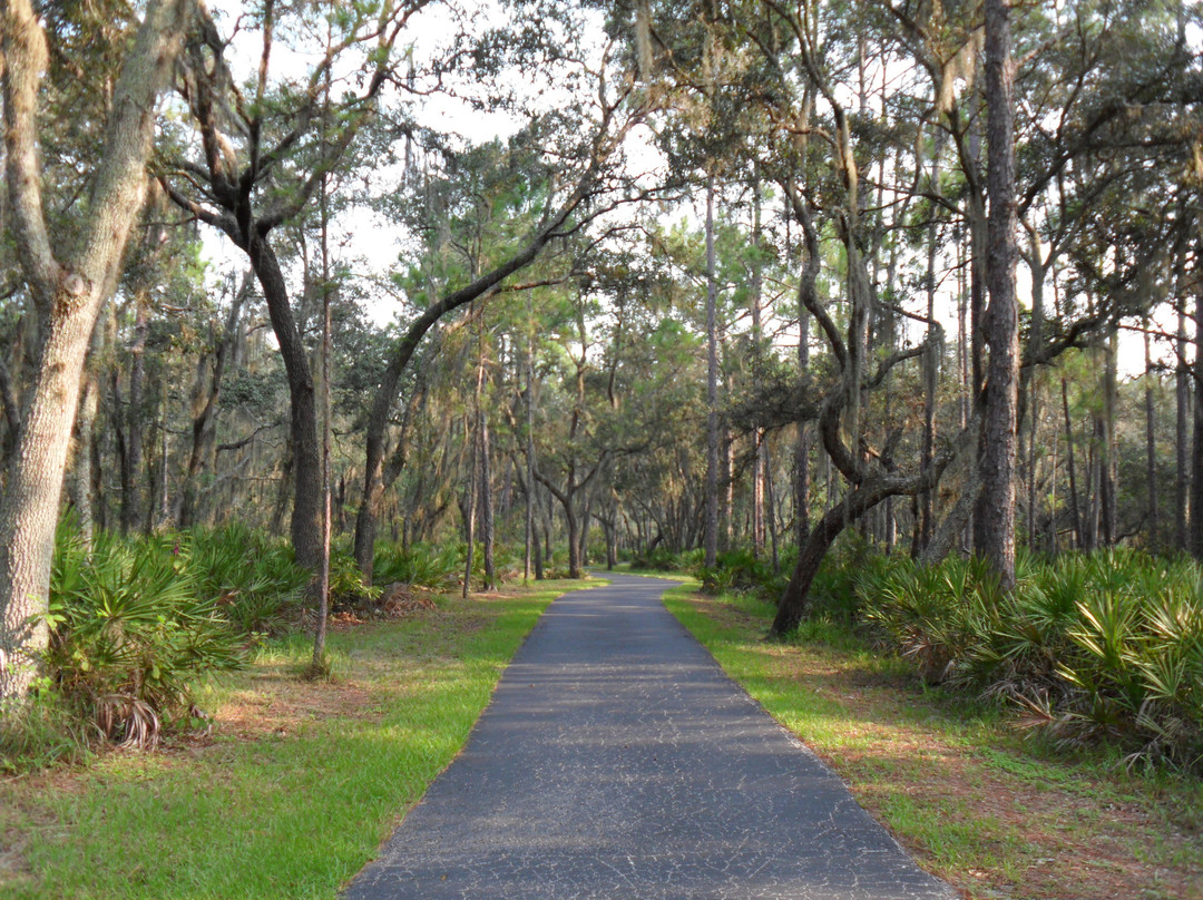 生菜湖地区公园-坦帕必去景点