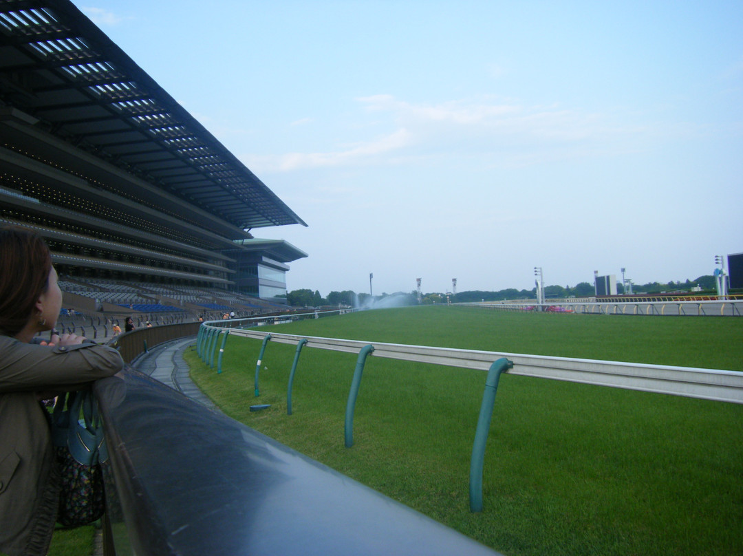 Tokyo Racecourse-府中市必去景点