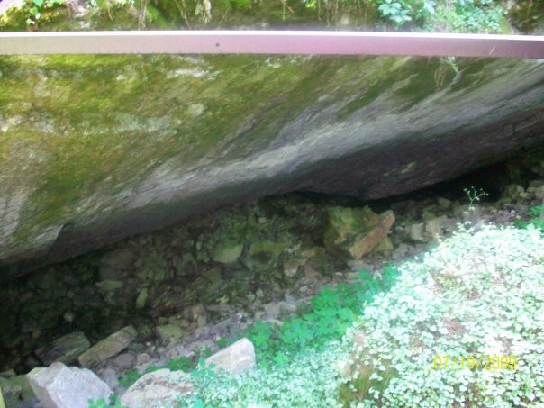 Penn's Cave & Wildlife Park景点图片
