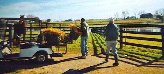Old Friends at Dream Chase Farm-Georgetown必去景点