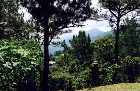 Finca Alta Gracia