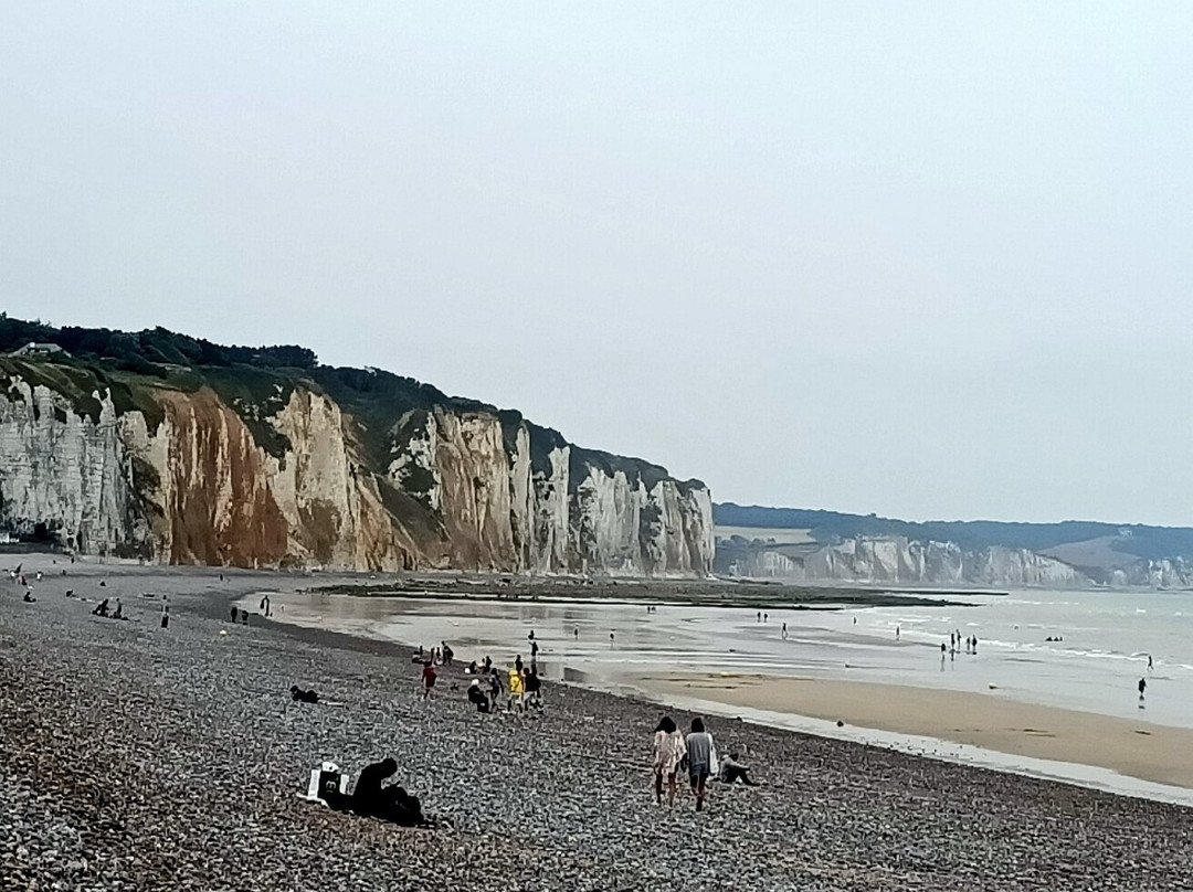 Spiaggia Di Dieppe -plage De Dieppe景点图片