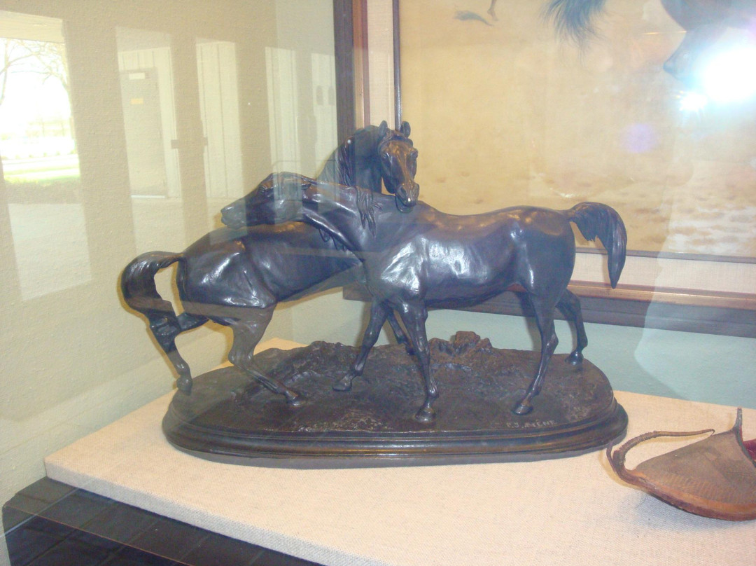 American Saddlebred Museum-列克星敦必去景点