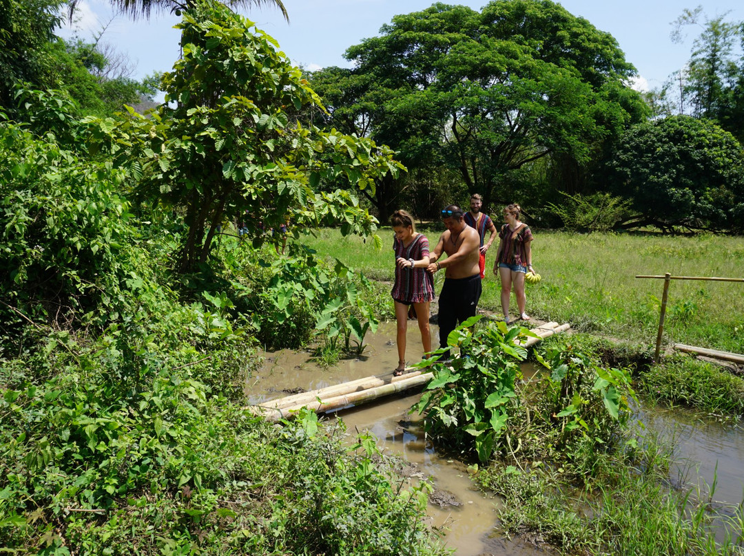 Inthanon Elephant Sanctuary & Wildlife Preserve-清迈必去景点