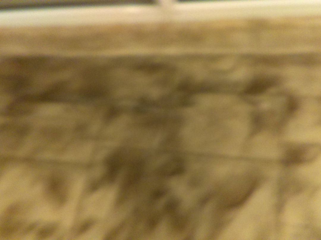 Comfort Suites Rock Hill Manchester Meadows Area主图