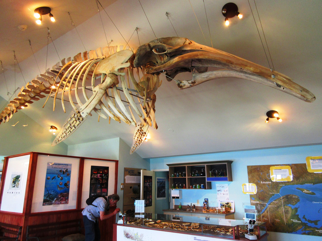 Station Exploratoire du Saint-Laurent (St. Lawrence Exploration Centre)-Riviere du Loup必去景点