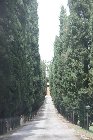 Villa Ferrari-客卧