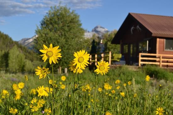 McReynolds Blacktail Cabins