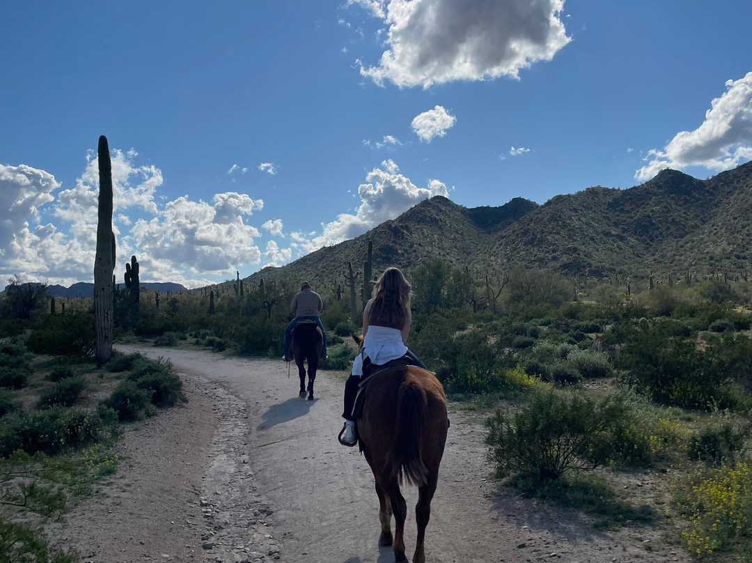 MD Ranch-Queen Creek必去景点