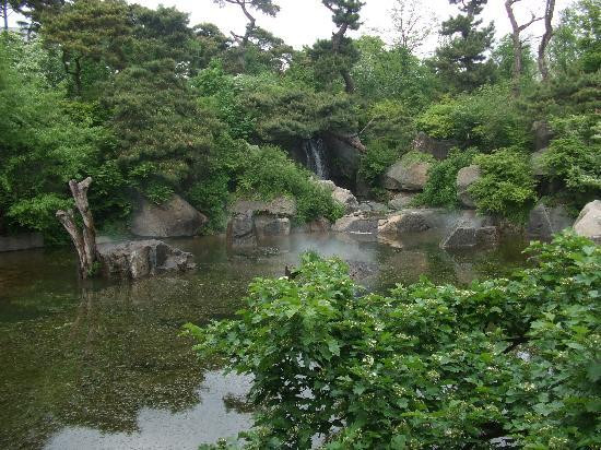 韩国国立中央博物馆-首尔必去景点