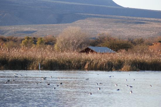 Roper Lake State Park-Safford必去景点