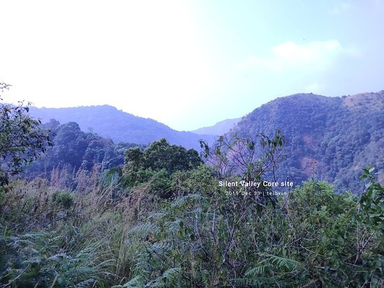 Silent Valley National Park-卡拉拉必去景点
