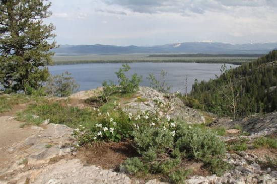 Inspiration Point-大提顿国家公园必去景点