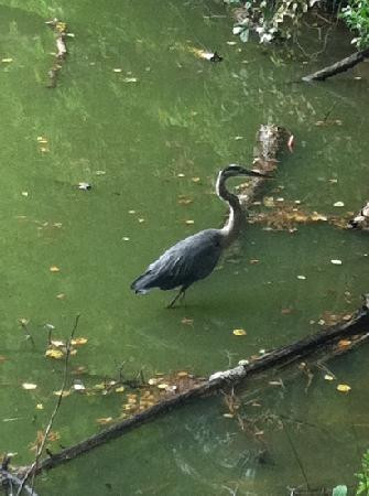 Three Lakes Park & Nature Center-里士满必去景点
