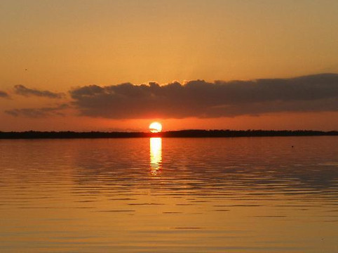 Key West Eco Tours-基韦斯特必去景点