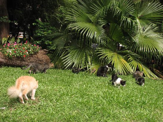 Jardín Botánico Carlos Thays-布宜诺斯艾利斯必去景点