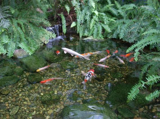 罗杰·威廉姆斯公园-普罗维登斯必去景点