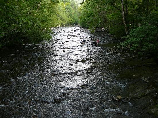 Metcalf Bottoms Picnic Area-大雾山国家公园必去景点