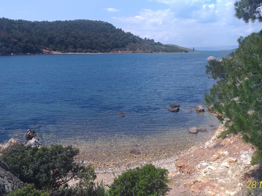 Ortunç Koyu