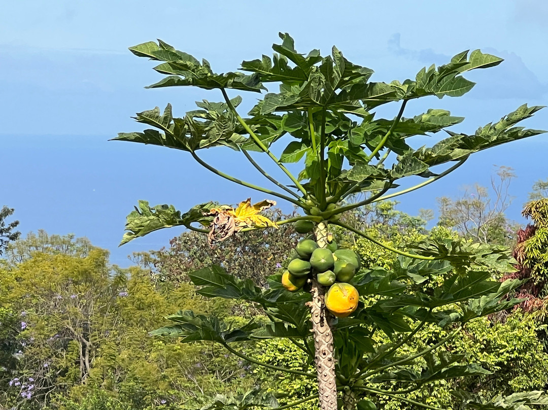 海勒华拉来住宿加早餐旅馆主图