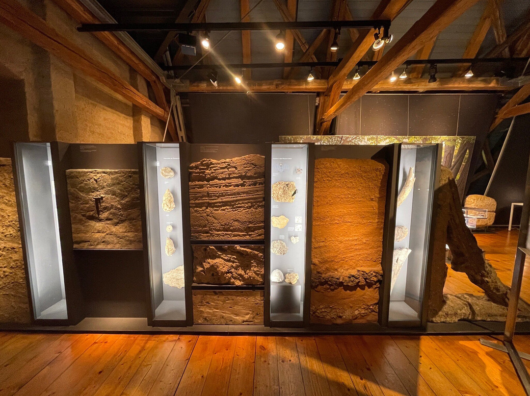 Ries Crater Museum-讷德林根必去景点