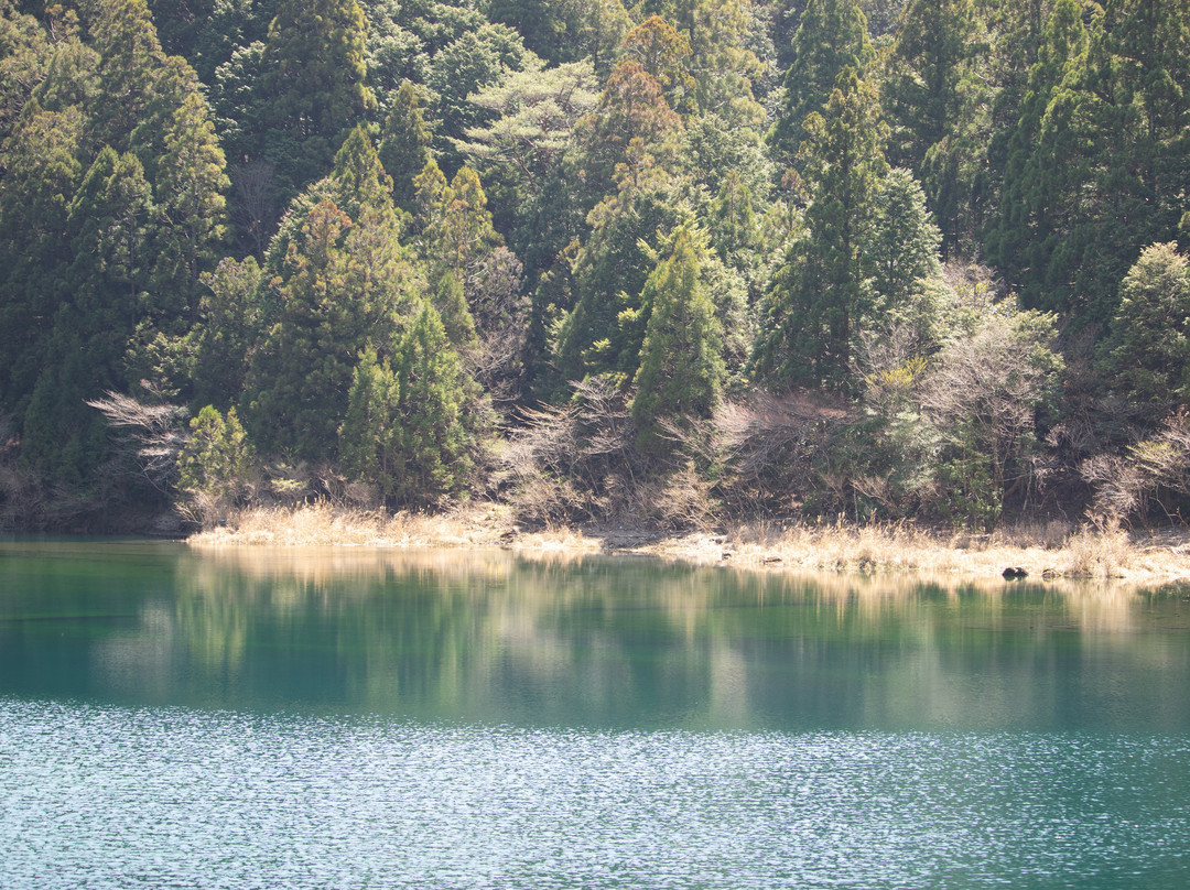 Omidani Dam-那贺町必去景点