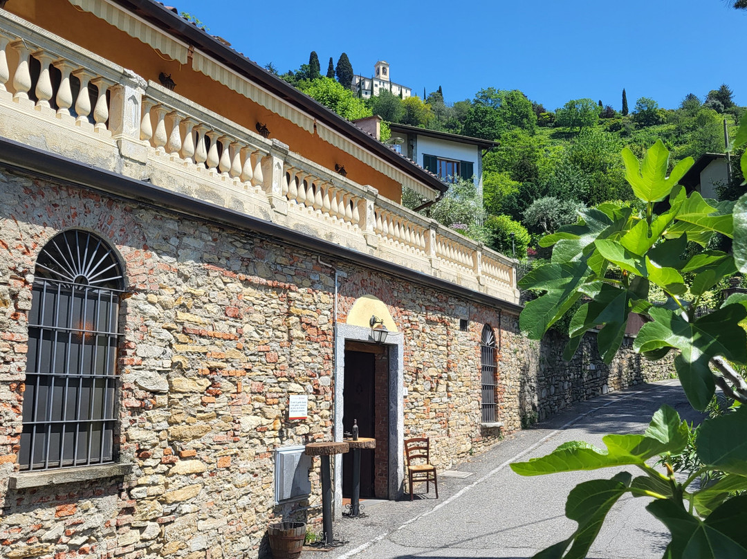 La Cantina Del Prufesur 1913