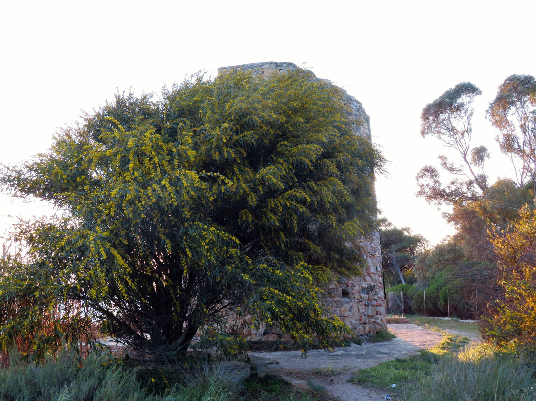 Torre di Foxi-夸尔图－圣埃莱娜必去景点