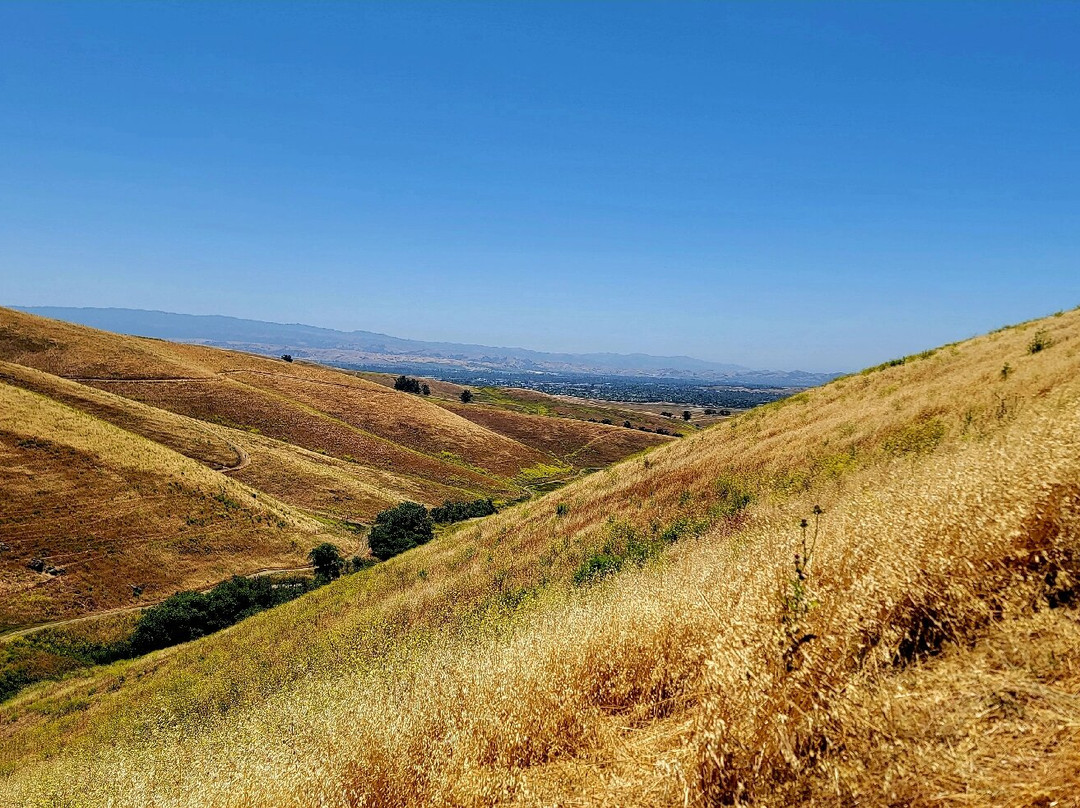 Brushy Peak Regional Preserve-利佛摩必去景点