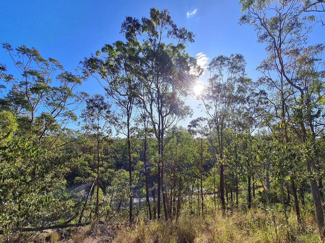 Murphys Creek-图沃柏必去景点
