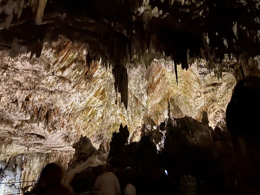 Grotte di Postumia - Park Postojnska jama景点图片