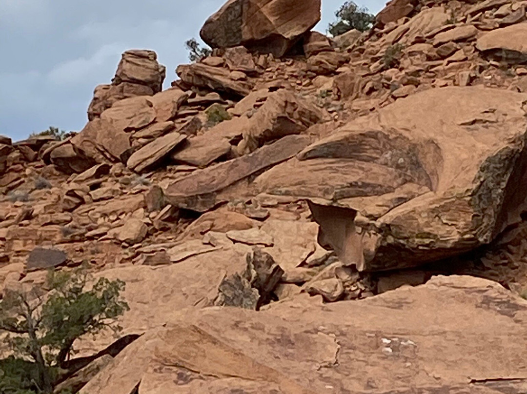 Dominguez Canyon景点图片