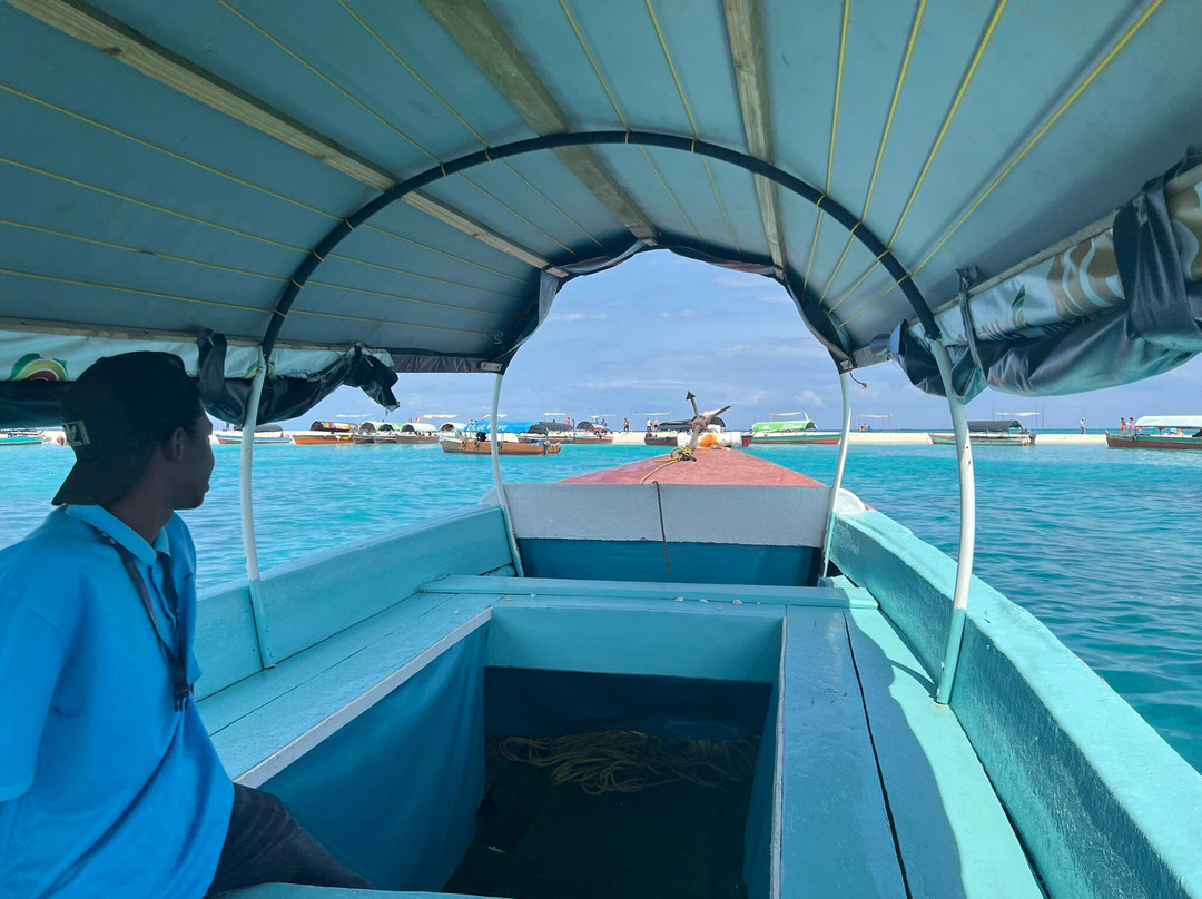 The Wall Tours-桑给巴尔岛必去景点