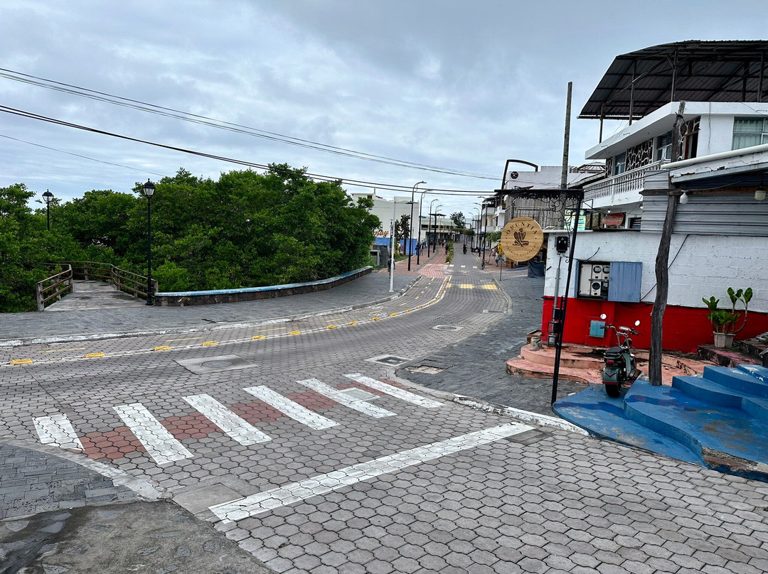 La Peregrina Galapagos B&B主图