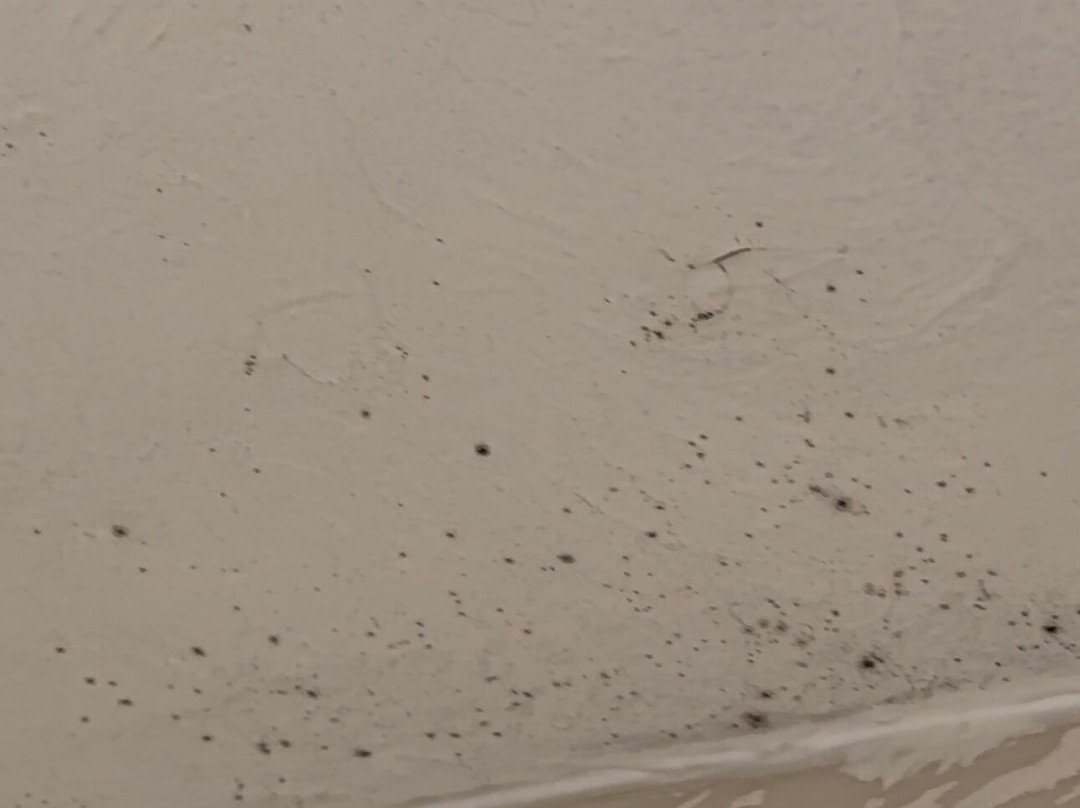 阿塔拉戴斯酒店主图