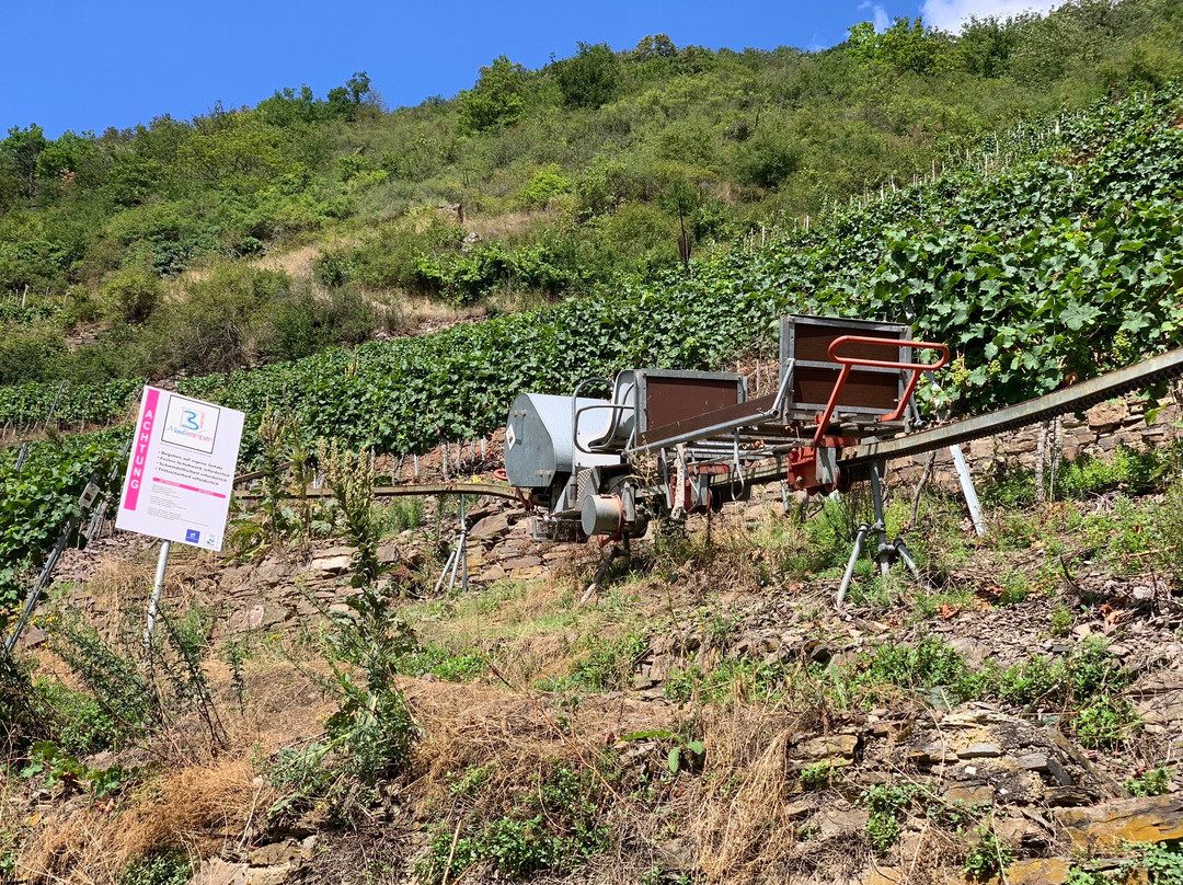 施耐德费瑞恩葡萄酒庄主图