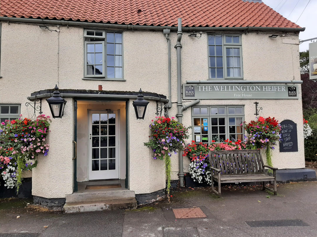 The Wellington Heifer主图