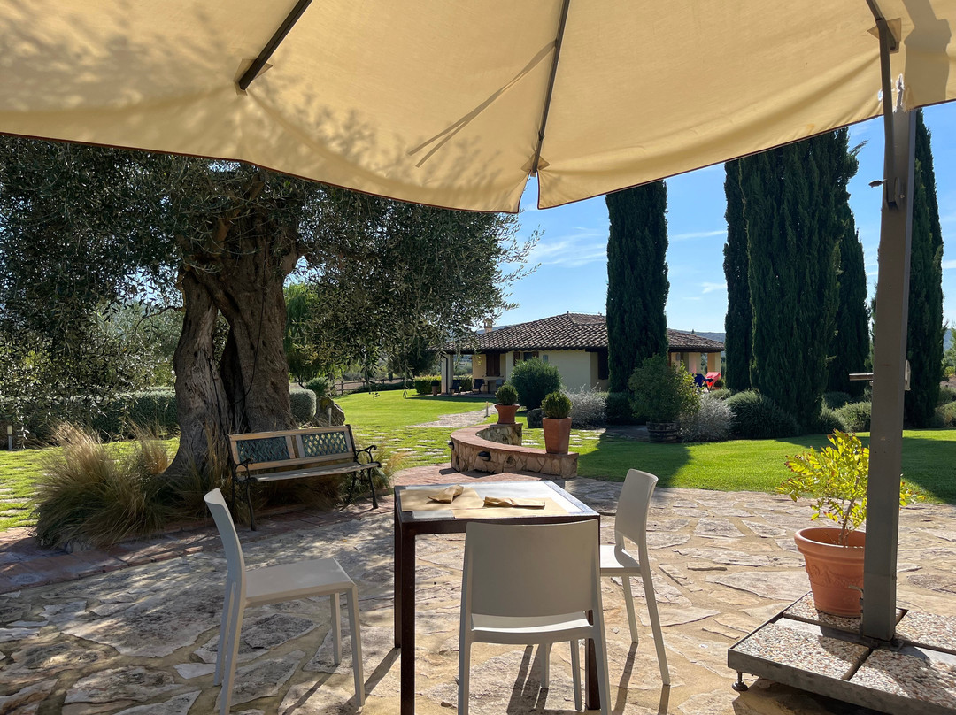 Agriturismo Il Casale degli Olivi主图