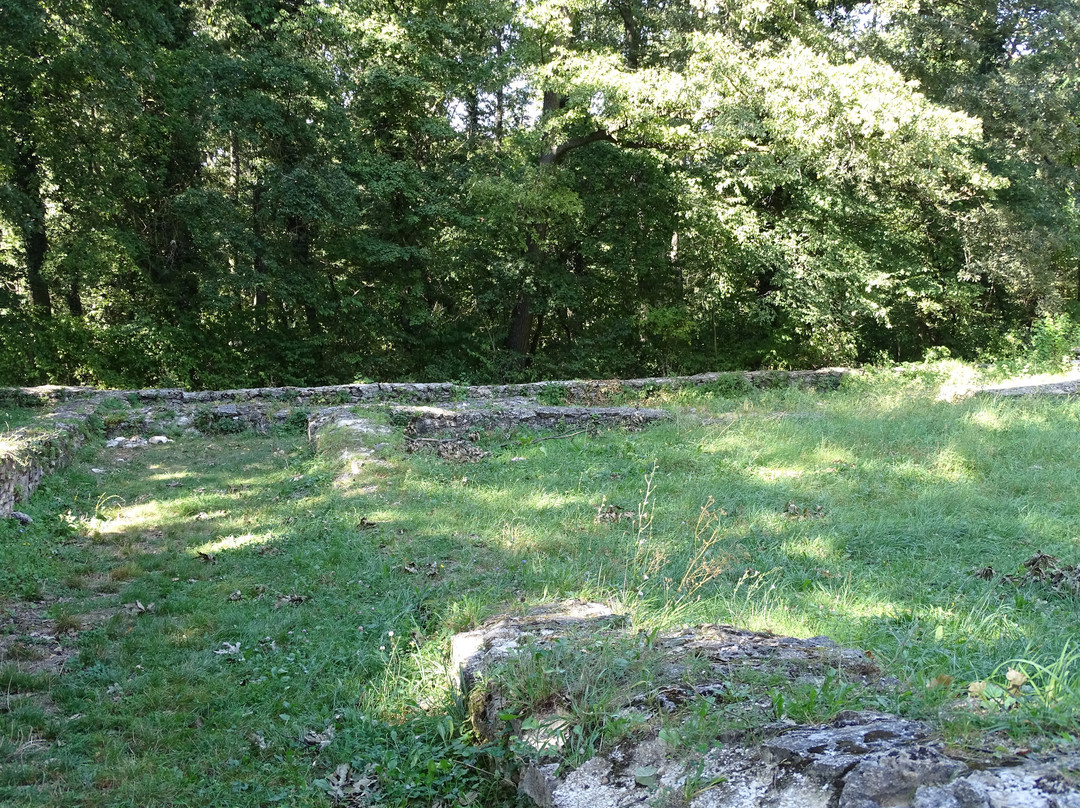 Ruins of the Pauline Monastery景点图片