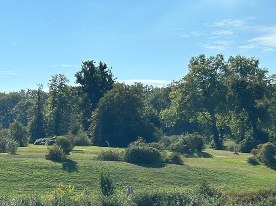 Wannsee Lake-柏林必去景点
