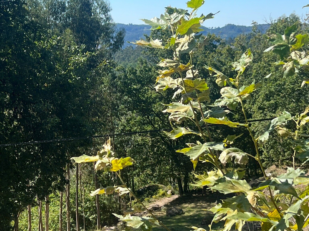 Barragem da Queimadela景点图片