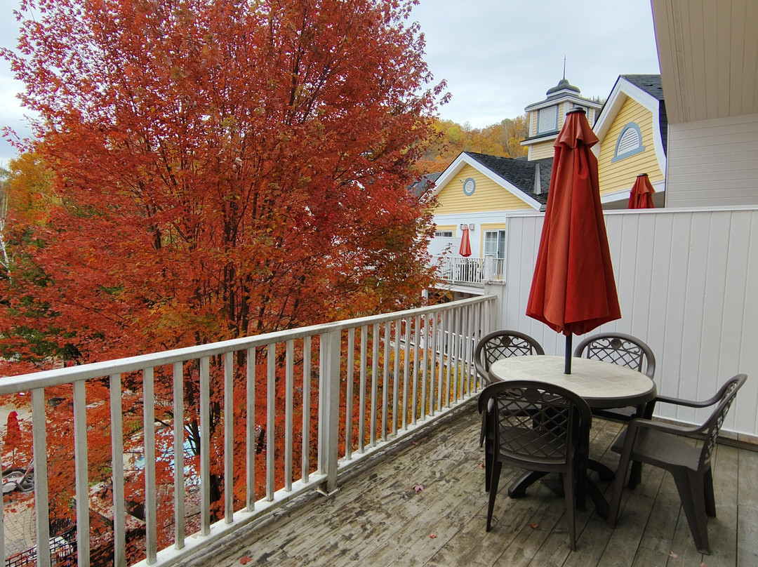 Chateau Beauvallon主图