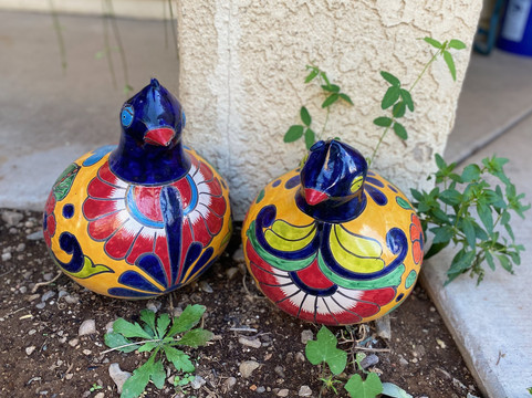 Dreamcatcher Inn At Chiricahua主图