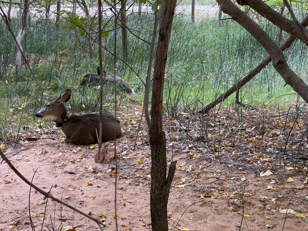 Vermilion Cliffs Day Tours-佩吉必去景点